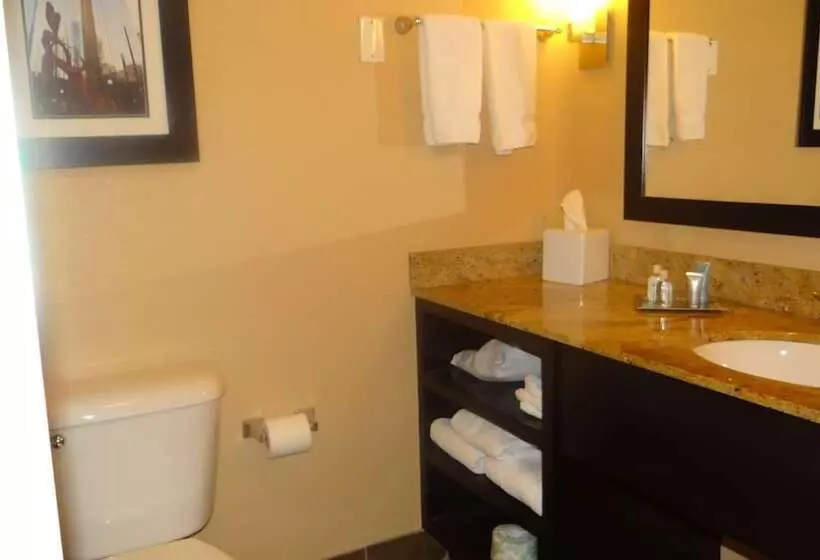 سوئیت برای معلولان, Wyndham Garden Oklahoma City Hotel & Conference Ctr Near Airport, Fairgrounds Paycom & I40