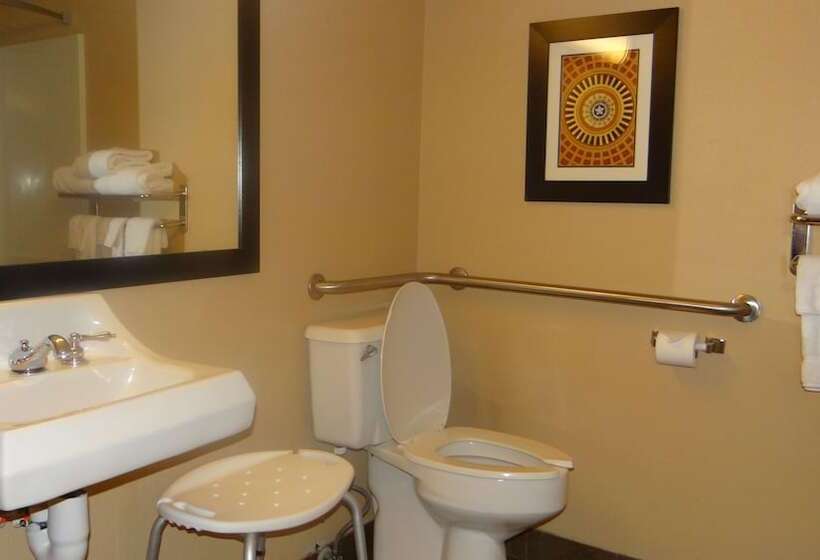 جناح لذوى الاحتياجات الخاصة, Wyndham Garden Oklahoma City Hotel & Conference Ctr Near Airport, Fairgrounds Paycom & I40