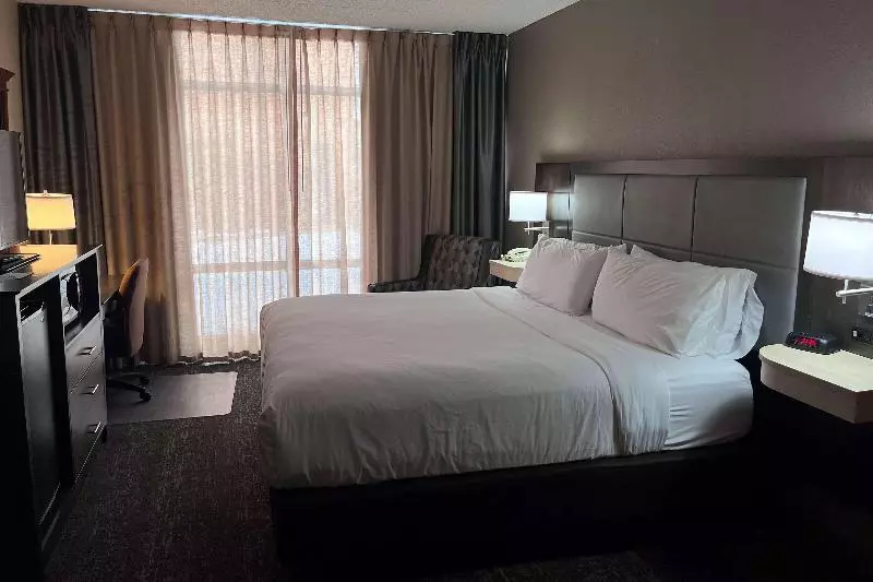 身障者適用キングサイズベッドルーム, Wyndham Garden Southgate