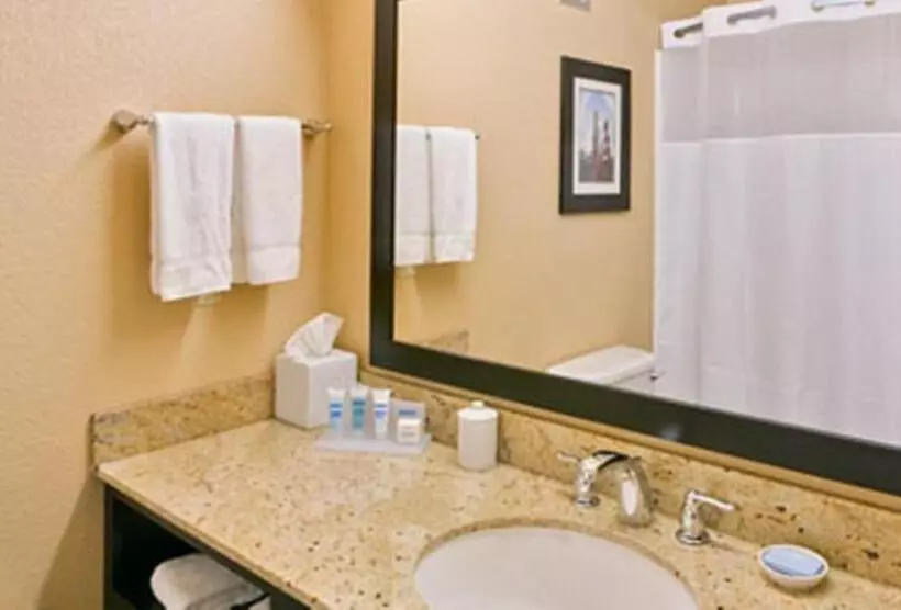 اتاق استاندارد با تخت بزرگ, Wyndham Garden Oklahoma City Hotel & Conference Ctr Near Airport, Fairgrounds Paycom & I40