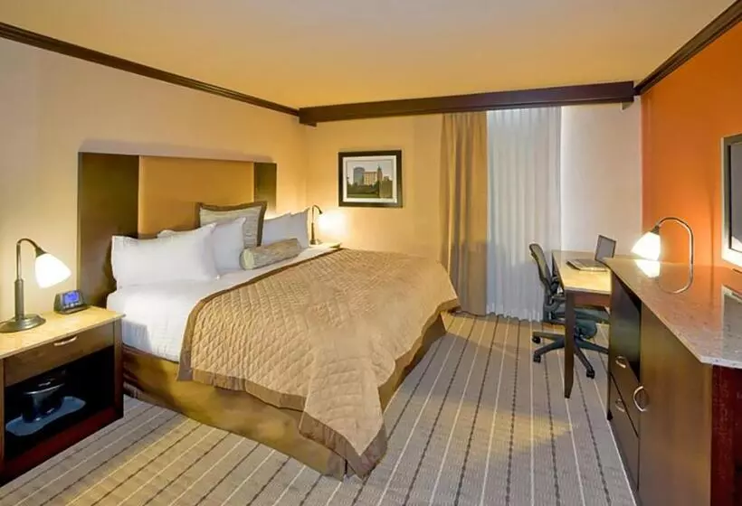 اتاق استاندارد با تخت بزرگ برای معلولان, Wyndham Garden Oklahoma City Hotel & Conference Ctr Near Airport, Fairgrounds Paycom & I40