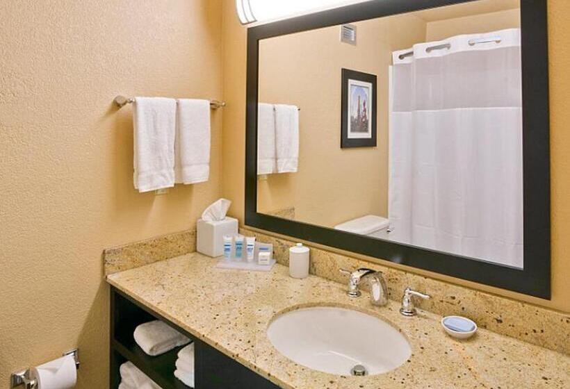 Номер Стандарт Кровать Кинг Адаптированный для Инвалидов, Wyndham Garden Oklahoma City Hotel & Conference Ctr Near Airport, Fairgrounds Paycom & I40