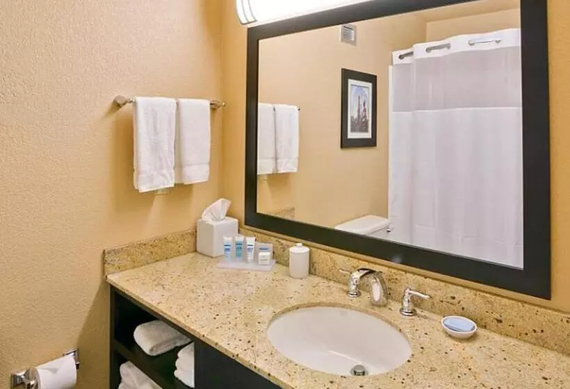 اتاق استاندارد با تخت بزرگ برای معلولان, Wyndham Garden Oklahoma City Hotel & Conference Ctr Near Airport, Fairgrounds Paycom & I40