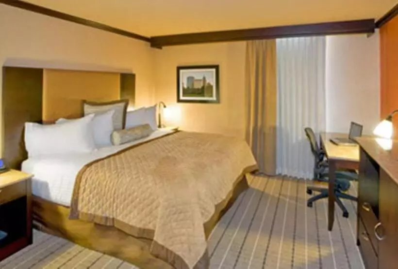 اتاق استاندارد با تخت بزرگ برای معلولان, Wyndham Garden Oklahoma City Hotel & Conference Ctr Near Airport, Fairgrounds Paycom & I40