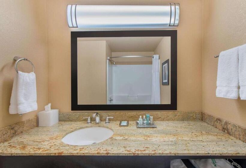 جناح لذوى الاحتياجات الخاصة, Wyndham Garden Oklahoma City Hotel & Conference Ctr Near Airport, Fairgrounds Paycom & I40