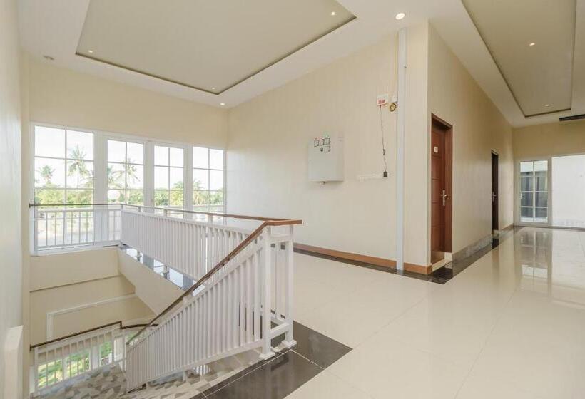 غرفة ديلوكس, Green Forest