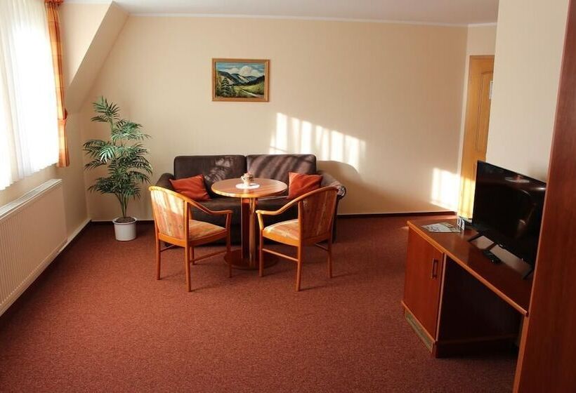 スタンダードシングルルーム, Pension Zur Grunen Eiche