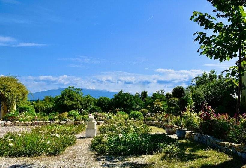 スタンダードルーム, Bastide Saint Didier
