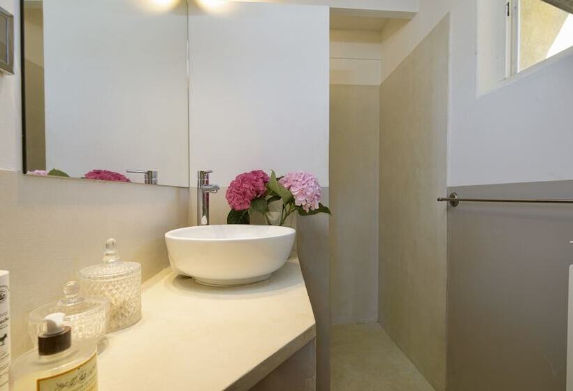 スタンダードルーム, Bastide Saint Didier