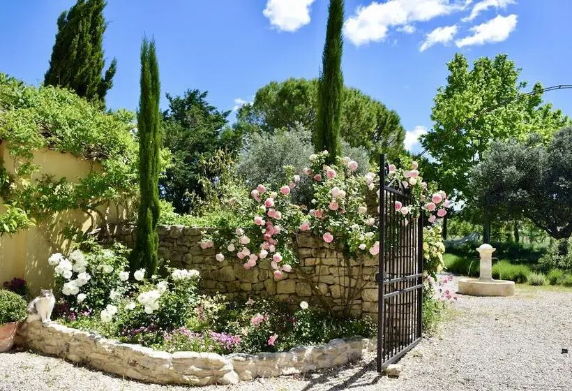 Sviitti, Bastide Saint Didier
