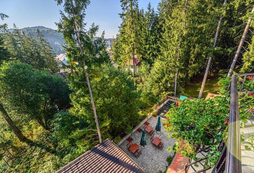 חדר סטנדרט נוף להרים, Pensiunea Hilltop