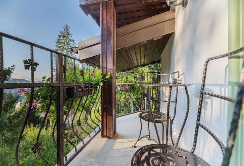 חדר סטנדרט נוף להרים, Pensiunea Hilltop