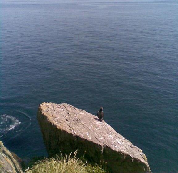 Triple Room Sea View, The Plough B&b
