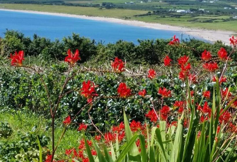 غرفة قياسية سرير كينج, The Plough B&b