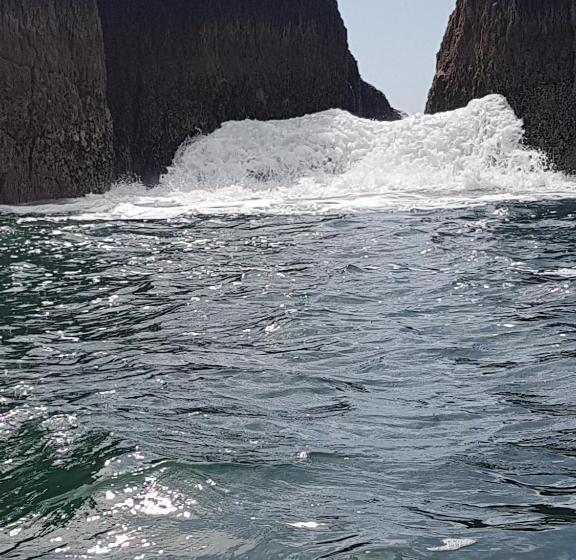 غرفة قياسية مطلّة علي البحر, The Plough B&b