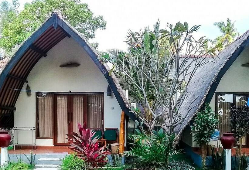 Бунгало Deluxe, Salili Bungalow