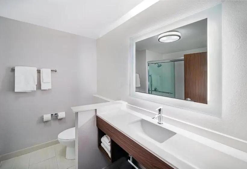 キングサイズベッドのスタンダードルーム, Holiday Inn Express & Suites Houston N Downtown, An Ihg