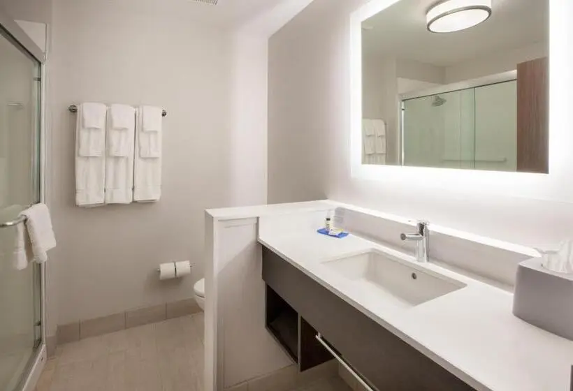 キングサイズベッドのスタンダードルーム, Holiday Inn Express & Suites Houston N Downtown, An Ihg