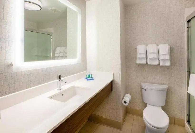 キングサイズベッドのスイートルーム, Holiday Inn Express & Suites Houston N Downtown, An Ihg