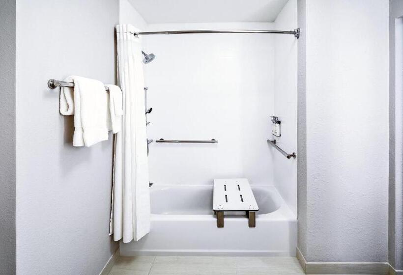 장애인을 위한 킹사이즈 침대 스탠다드 룸, Holiday Inn Express & Suites Houston N Downtown, An Ihg