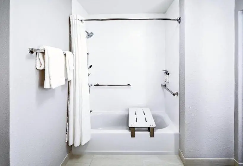 身障者適用キングサイズベッドルーム, Holiday Inn Express & Suites Houston N Downtown, An Ihg