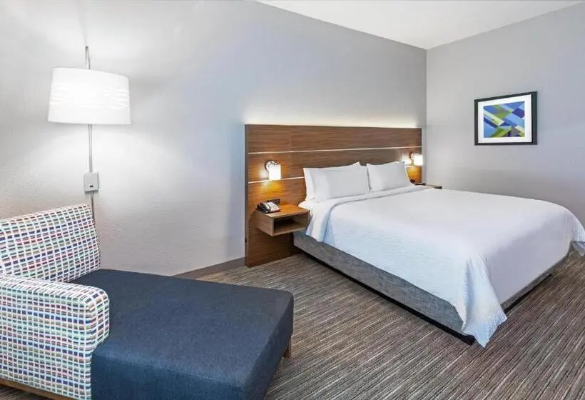 身障者適用キングサイズベッドルーム, Holiday Inn Express & Suites Houston N Downtown, An Ihg