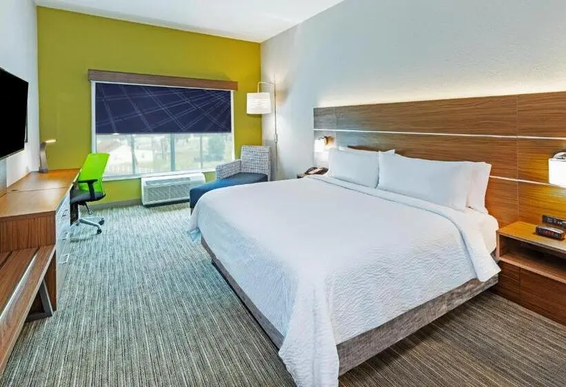 身障者適用キングサイズベッドルーム, Holiday Inn Express & Suites Houston N Downtown, An Ihg