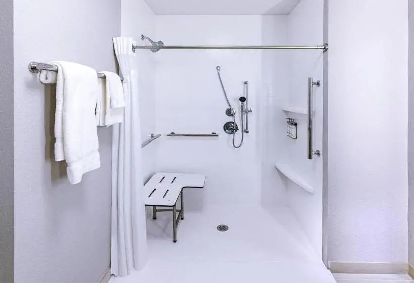 身障者適用キングサイズベッドルーム, Holiday Inn Express & Suites Houston N Downtown, An Ihg