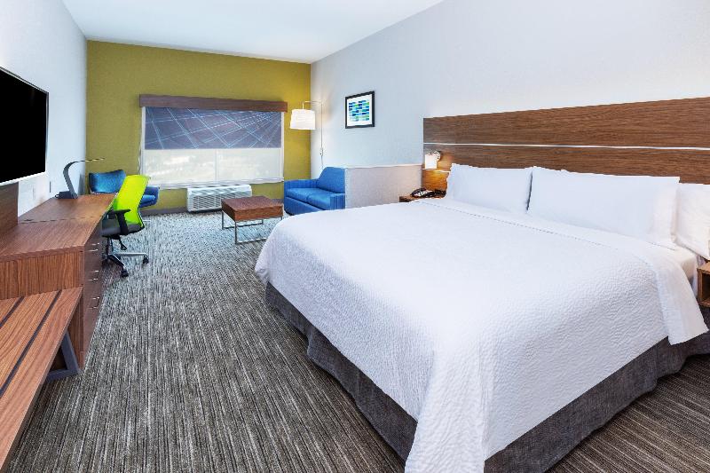 스위트 킹사이즈 침대, Holiday Inn Express & Suites Houston N Downtown, An Ihg