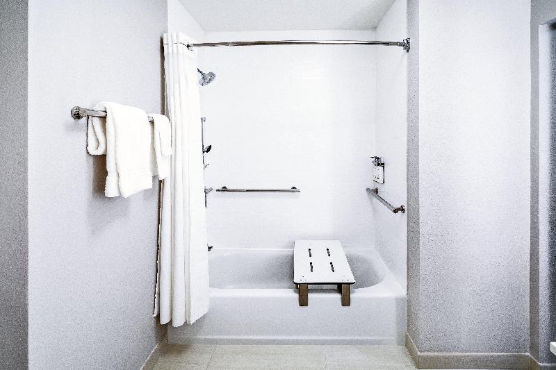 身障者適用キングサイズベッドルーム, Holiday Inn Express & Suites   Houston   N Downtown, An Ihg