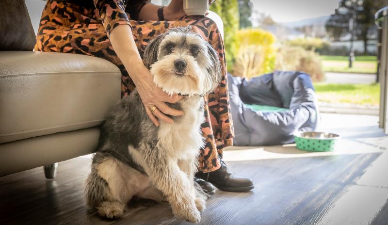 带2个卧室的公寓, The Gleneagle River Apartments