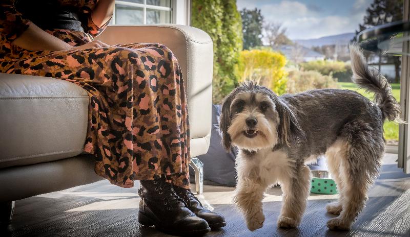 带2个卧室的公寓, The Gleneagle River Apartments