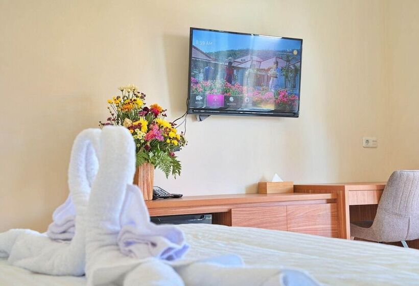 Номер Deluxe Вид на Сад, Seamount Hotel Amed