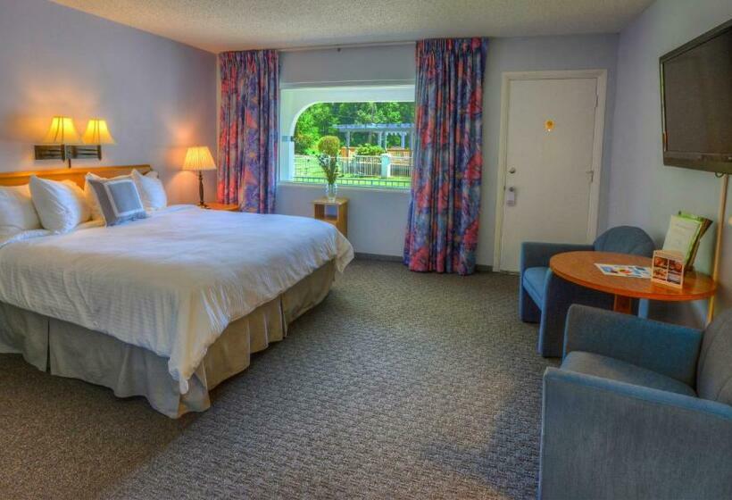 Стандартный Номер Кровать Кинг, Carolina Motel
