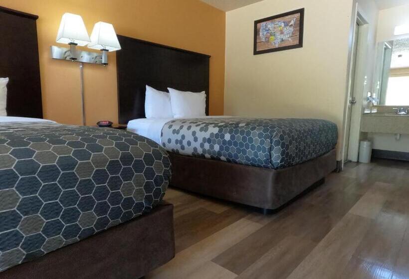 غرفة قياسية, Econo Lodge Inn & Suites Downtown Northeast Near Fort Sam Houston