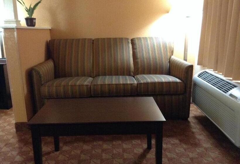 חדר סטנדרט, Econo Lodge Inn & Suites Downtown Northeast Near Fort Sam Houston