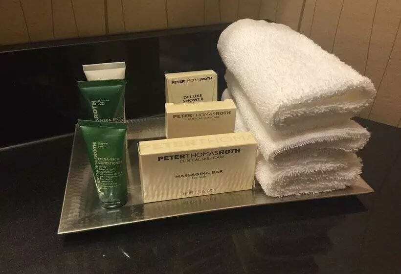 اتاق استاندارد با 2 تخت دوبل, Hilton Rosemont Chicago O'Hare