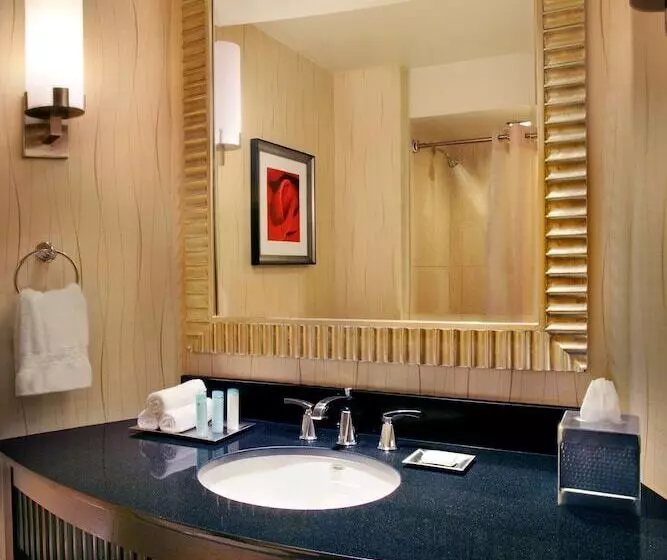 اتاق استاندارد با 2 تخت دوبل, Hilton Rosemont Chicago O'Hare