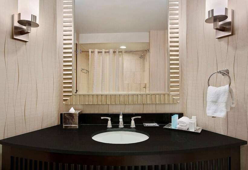 带2个双人床的标准工作室, Hilton Rosemont Chicago O'Hare