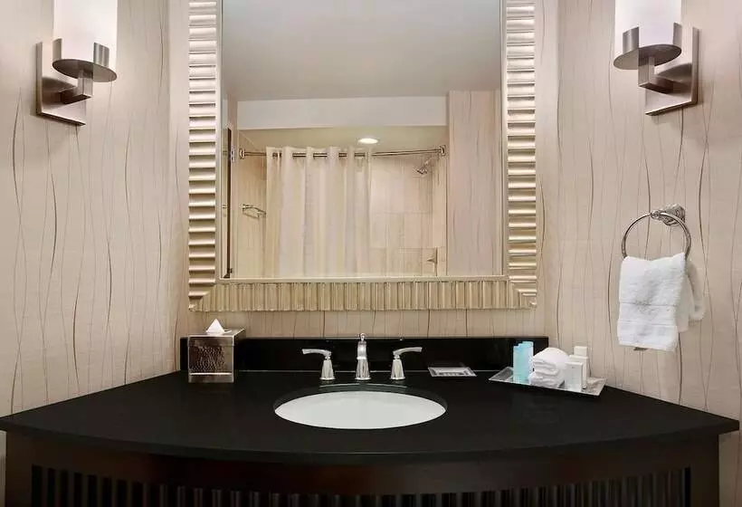 اتاق استاندارد با 2 تخت دوبل, Hilton Rosemont Chicago O'Hare