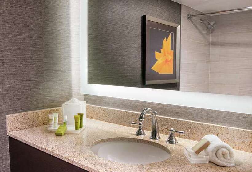 带2个双人床的标准工作室, Hilton Rosemont Chicago O'Hare