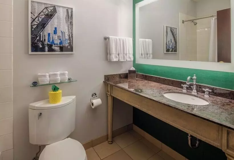 اتاق لوکس, Staypineapple, An Iconic Hotel, The Loop