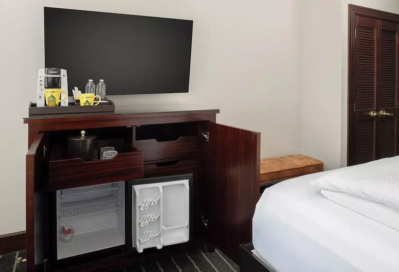 اتاق لوکس, Staypineapple, An Iconic Hotel, The Loop