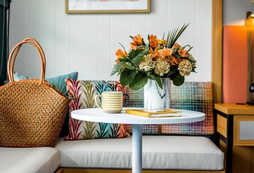 Номер Стандарт Кровать Кинг Адаптированный для Инвалидов, Freebird By Reverie Boutique Collection