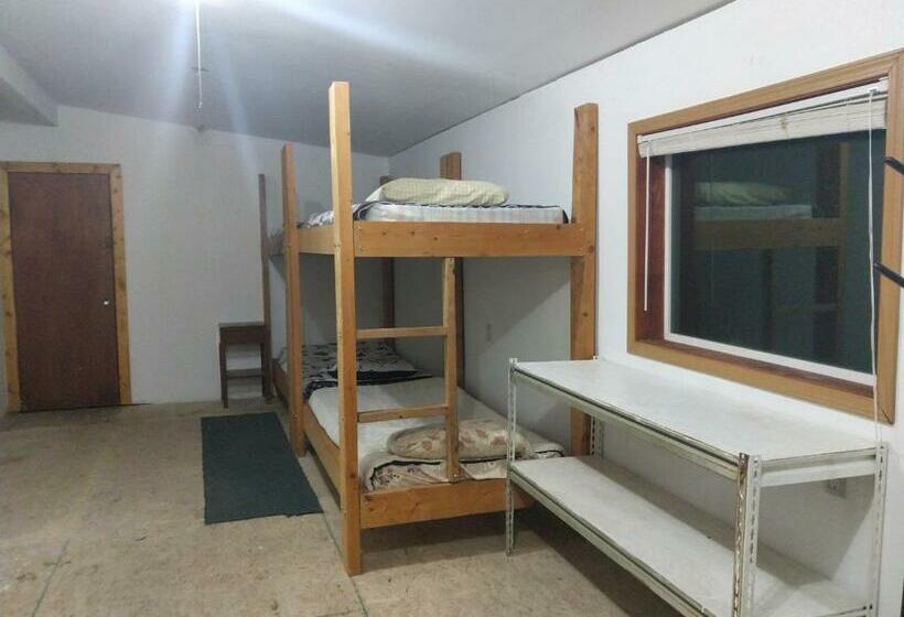 سرير فى غرفة مشتركه, Mcgrath Roadhouse