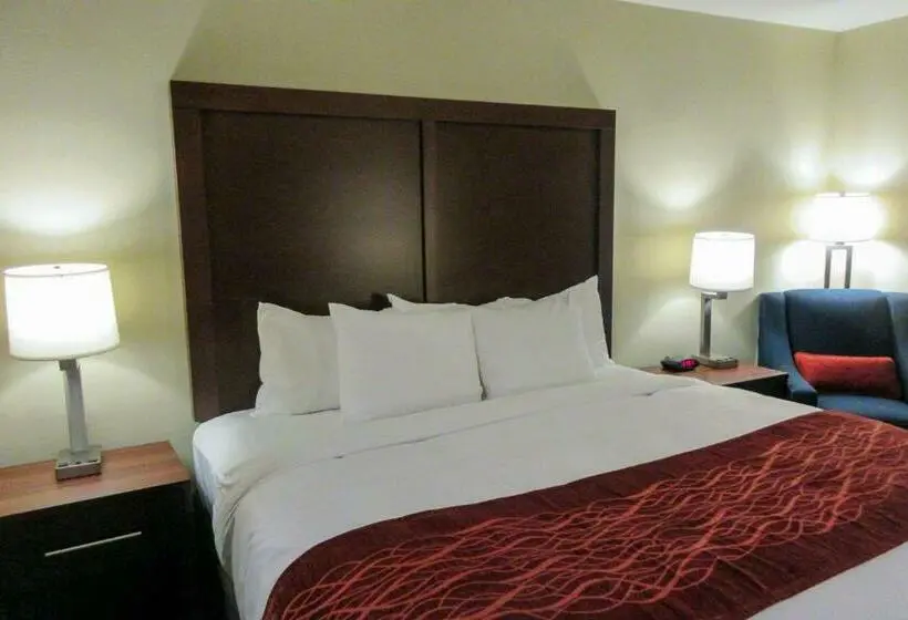 キングサイズベッドのスタンダードルーム, Comfort Inn & Suites Amish Country