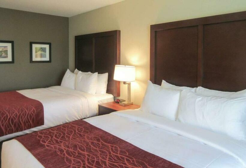 Номер Стандарт, Comfort Inn & Suites Amish Country