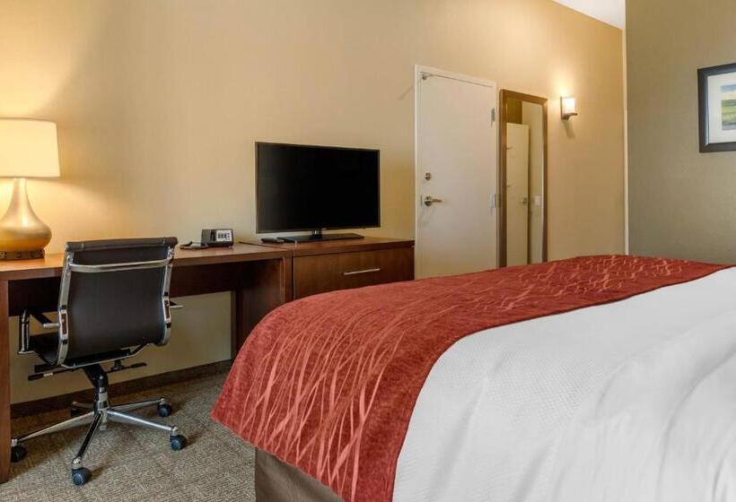 غرفة قياسية سرير كينج, Comfort Inn & Suites Amish Country