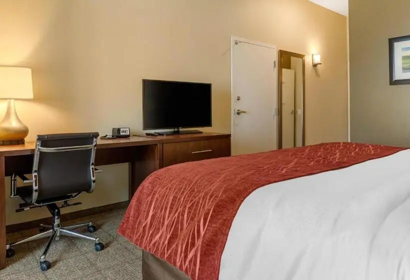 キングサイズベッドのスタンダードルーム, Comfort Inn & Suites Amish Country