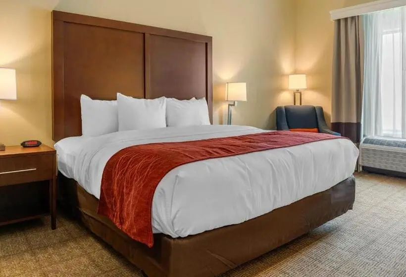 キングサイズベッドのスタンダードルーム, Comfort Inn & Suites Amish Country
